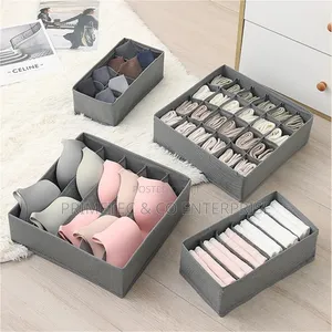 Foldable 4in1 Under Garment Organizer