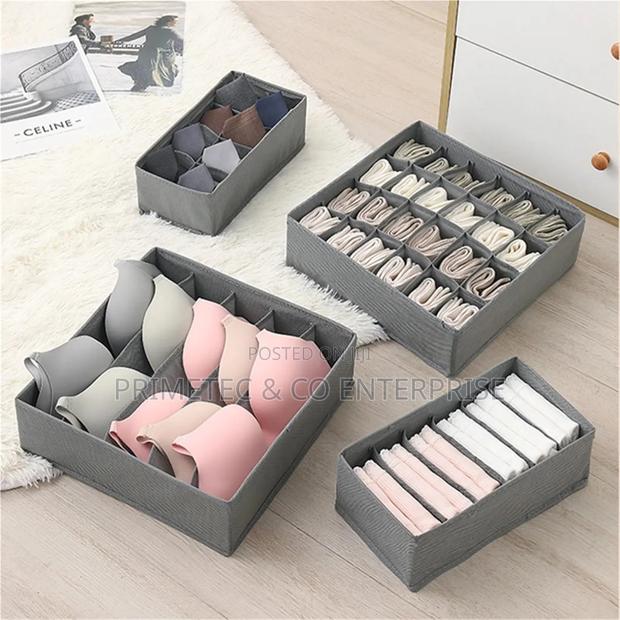 Foldable 4in1 Under Garment Organizer