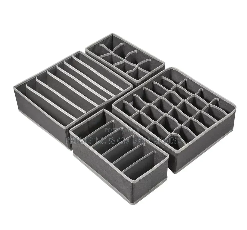 Foldable 4in1 Under Garment Organizer