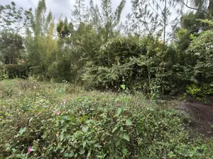 Residential Quarter Acre Plot for Sale in Matasia, Ngong. Good Views