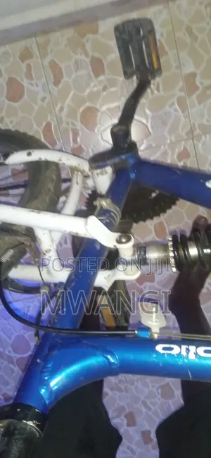 Apollo Bicycle
