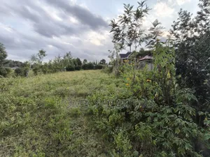 Quarter Acre Plot for Sale in Ngong, Matasia Along Merisho Road