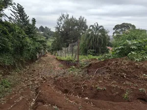 Affordable Quarter Acre Plot in Ngong, Matasia Along Silanga Road