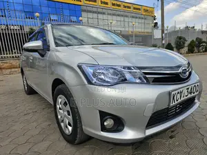 Toyota Corolla Fielder 2013 Silver