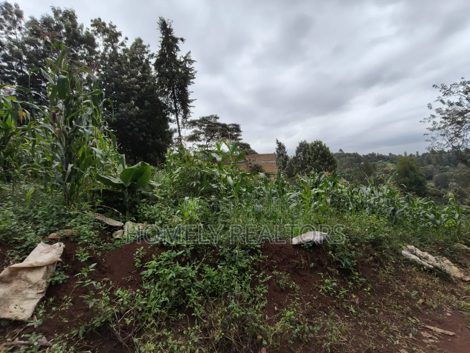 Affordable Eighth Acre Plot for Sale in Matasia Ngong, Silanga Road