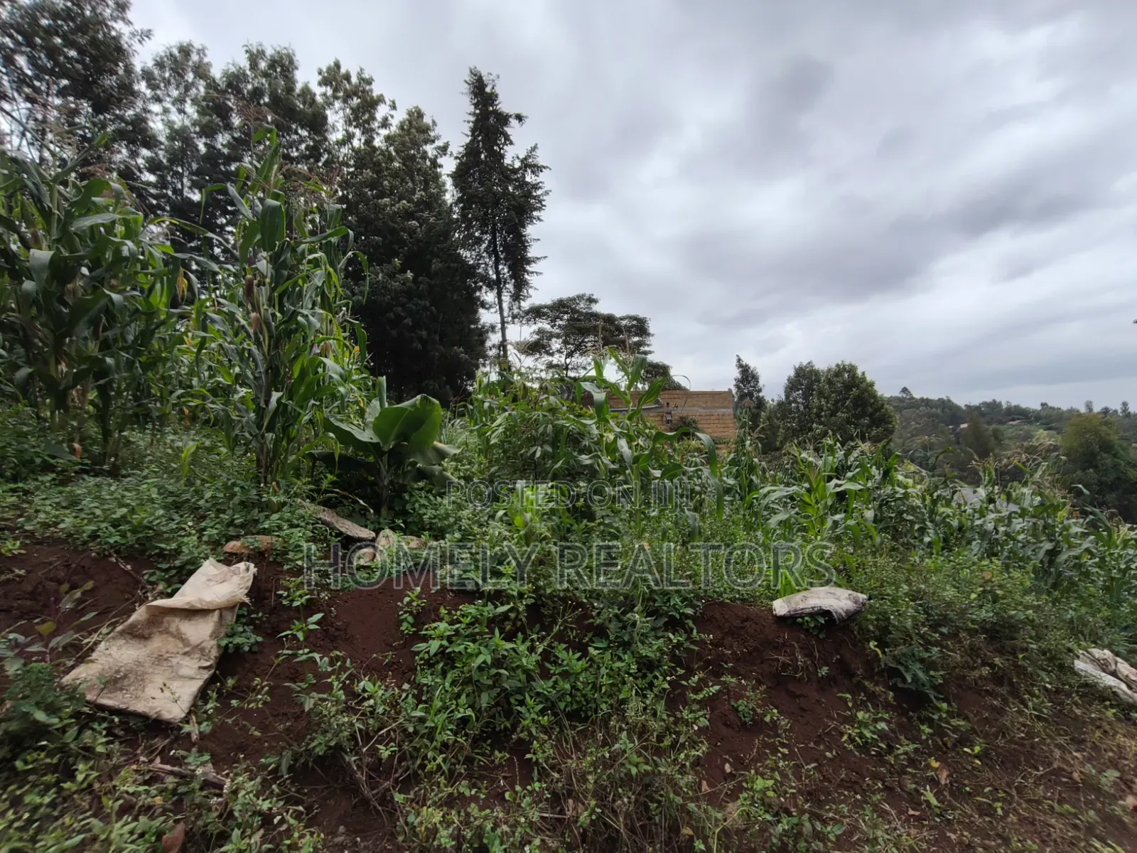 Affordable Eighth Acre Plot for Sale in Matasia Ngong, Silanga Road