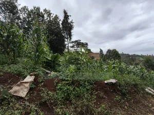 Affordable Eighth Acre Plot for Sale in Matasia Ngong, Silanga Road