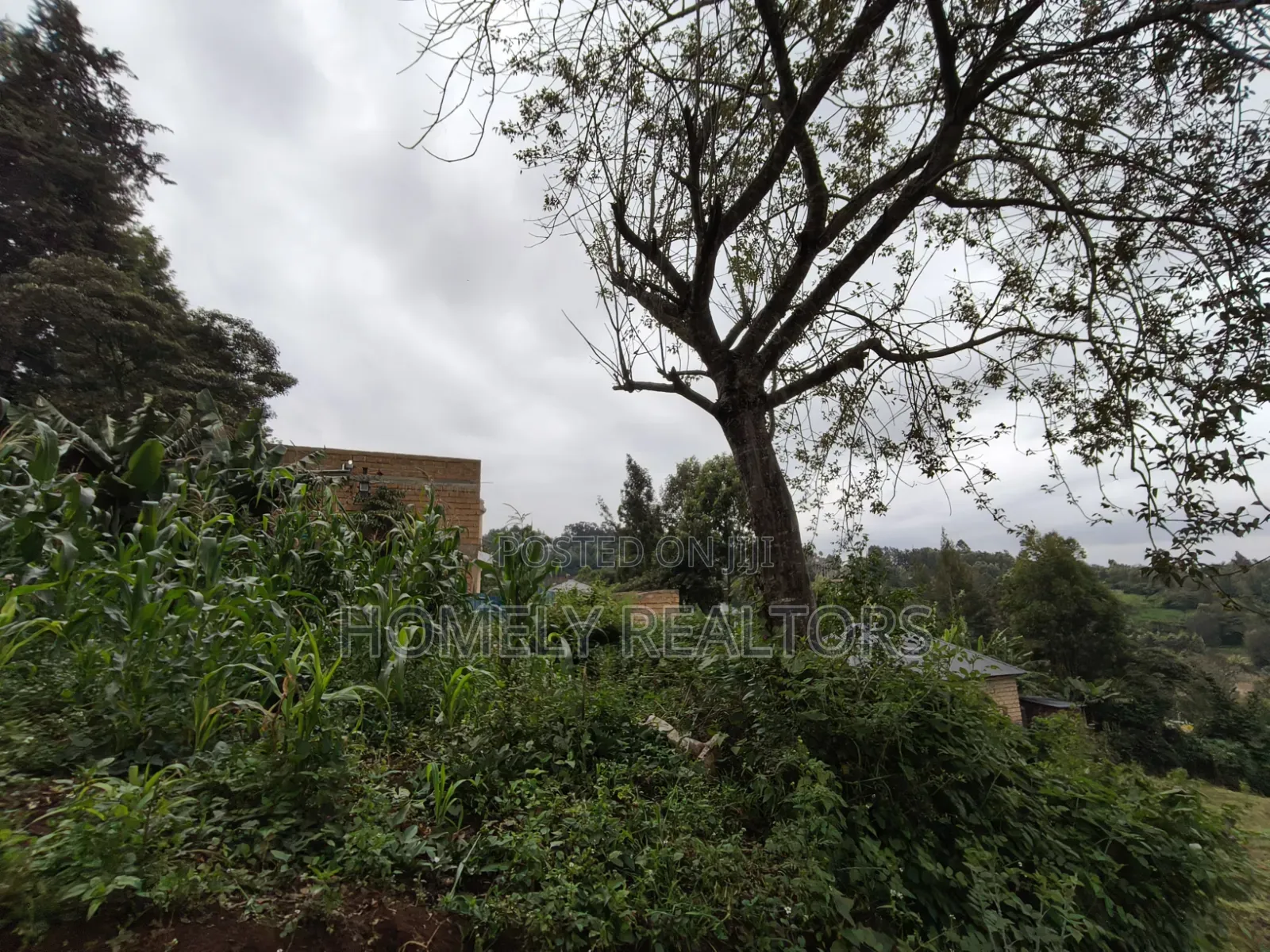 Affordable Eighth Acre Plot for Sale in Matasia Ngong, Silanga Road