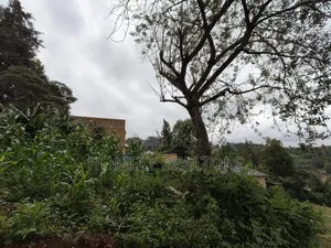 Affordable Eighth Acre Plot for Sale in Matasia Ngong, Silanga Road