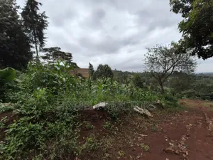 Affordable Eighth Acre Plot for Sale in Matasia Ngong, Silanga Road