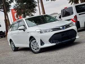 Toyota Corolla Fielder 2019 White