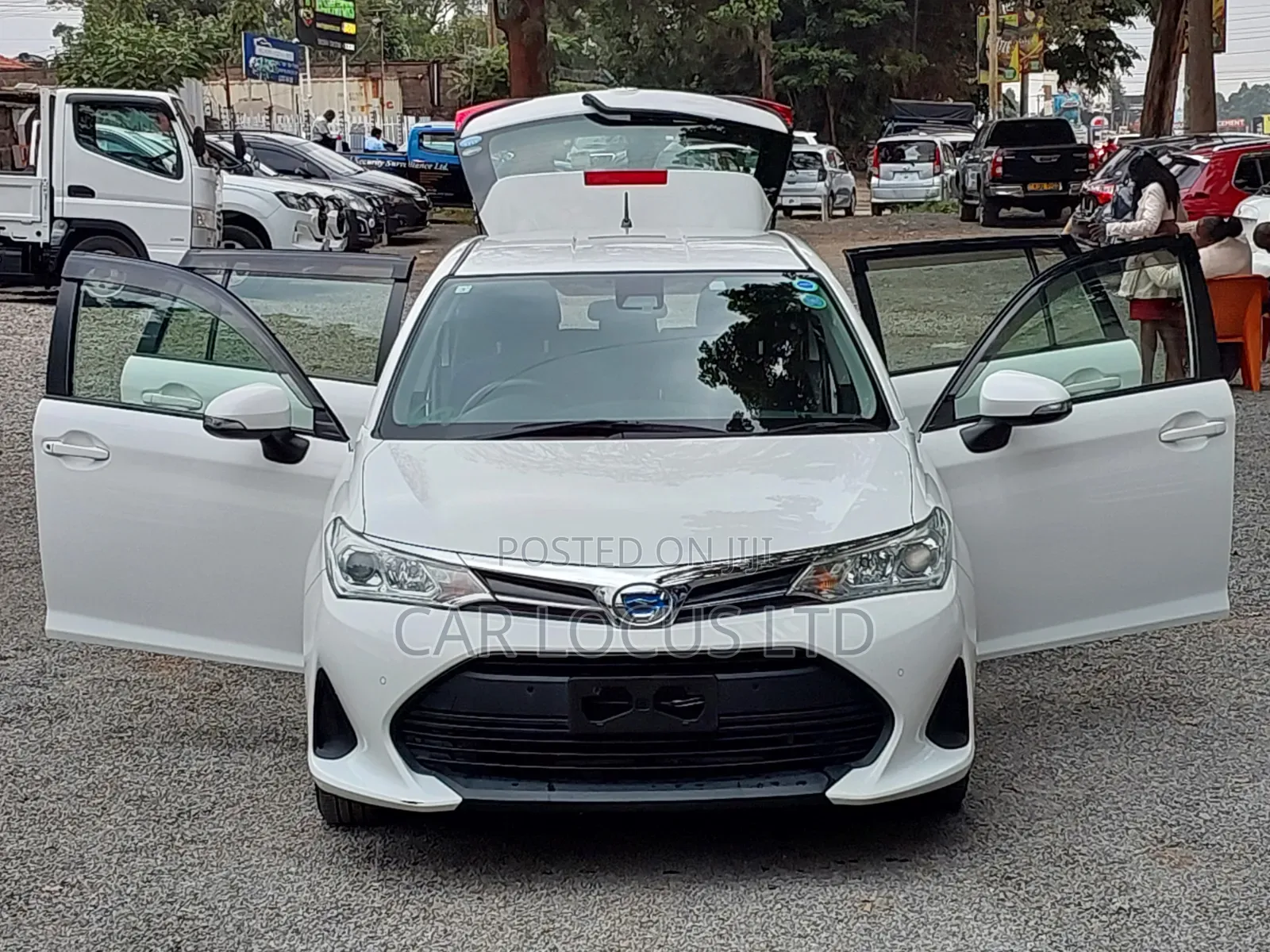 Toyota Corolla Fielder 2019 White