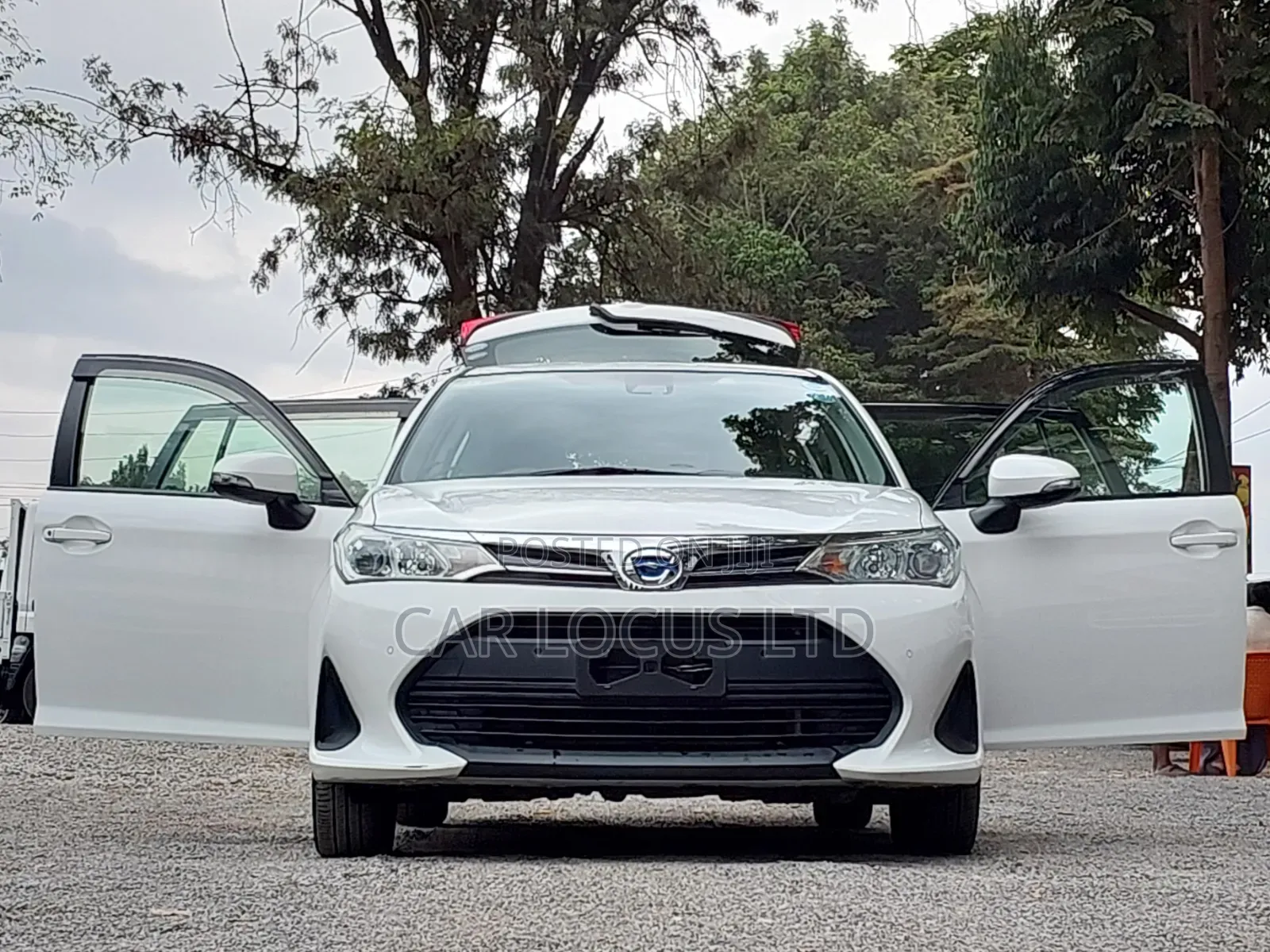 Toyota Corolla Fielder 2019 White