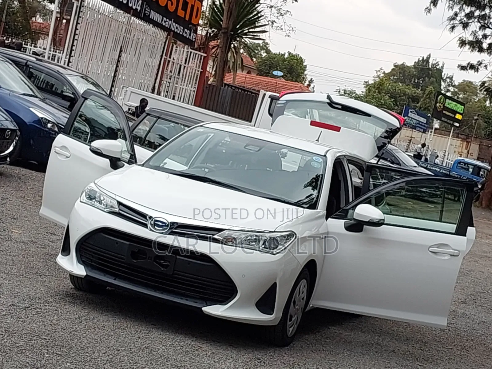 Toyota Corolla Fielder 2019 White