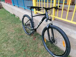 Giant Talon 4 ,29er