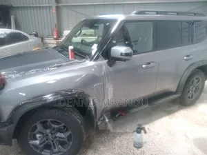 Ppf, Paint Protection Film