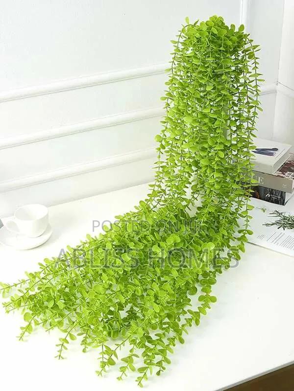 Hanging Vines