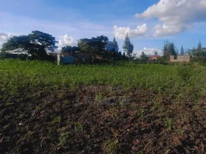 50/100 Plot on Sale Malaa