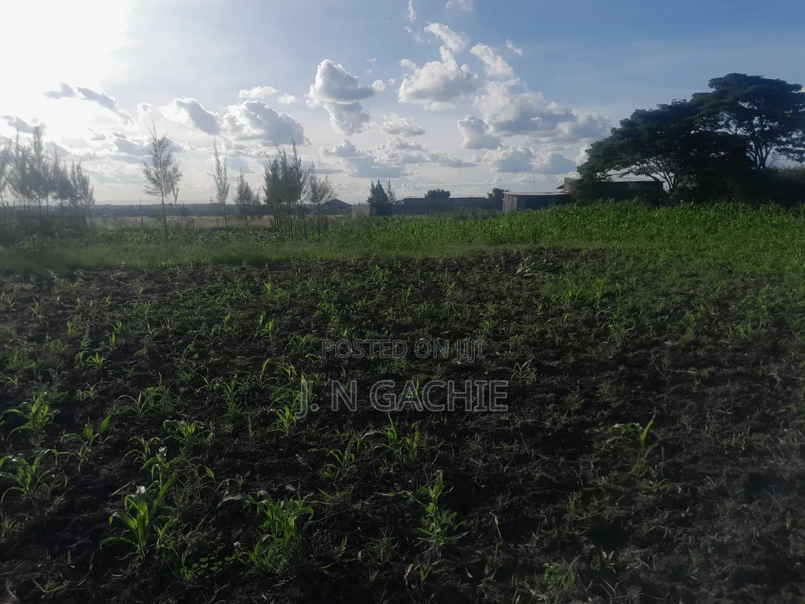 50/100 Plot on Sale Malaa