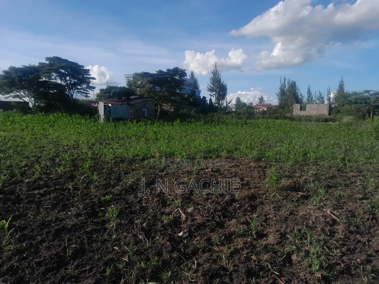 50/100 Plot on Sale Malaa