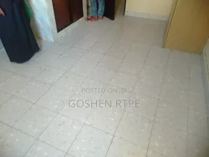 1bdrm Bedsitter in Bondeni, Moi Avenue (Msa) for rent