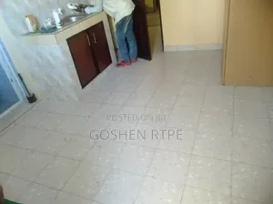 1bdrm Bedsitter in Bondeni, Moi Avenue (Msa) for rent