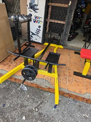 Gym Back Exercises Machines * T Bar Machine