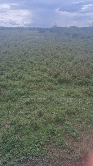 6 Acres at Mua Hills for Farming and Homestead