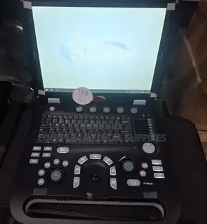 Sunbright Black and White Ultrasound Machine (With Two Probes)