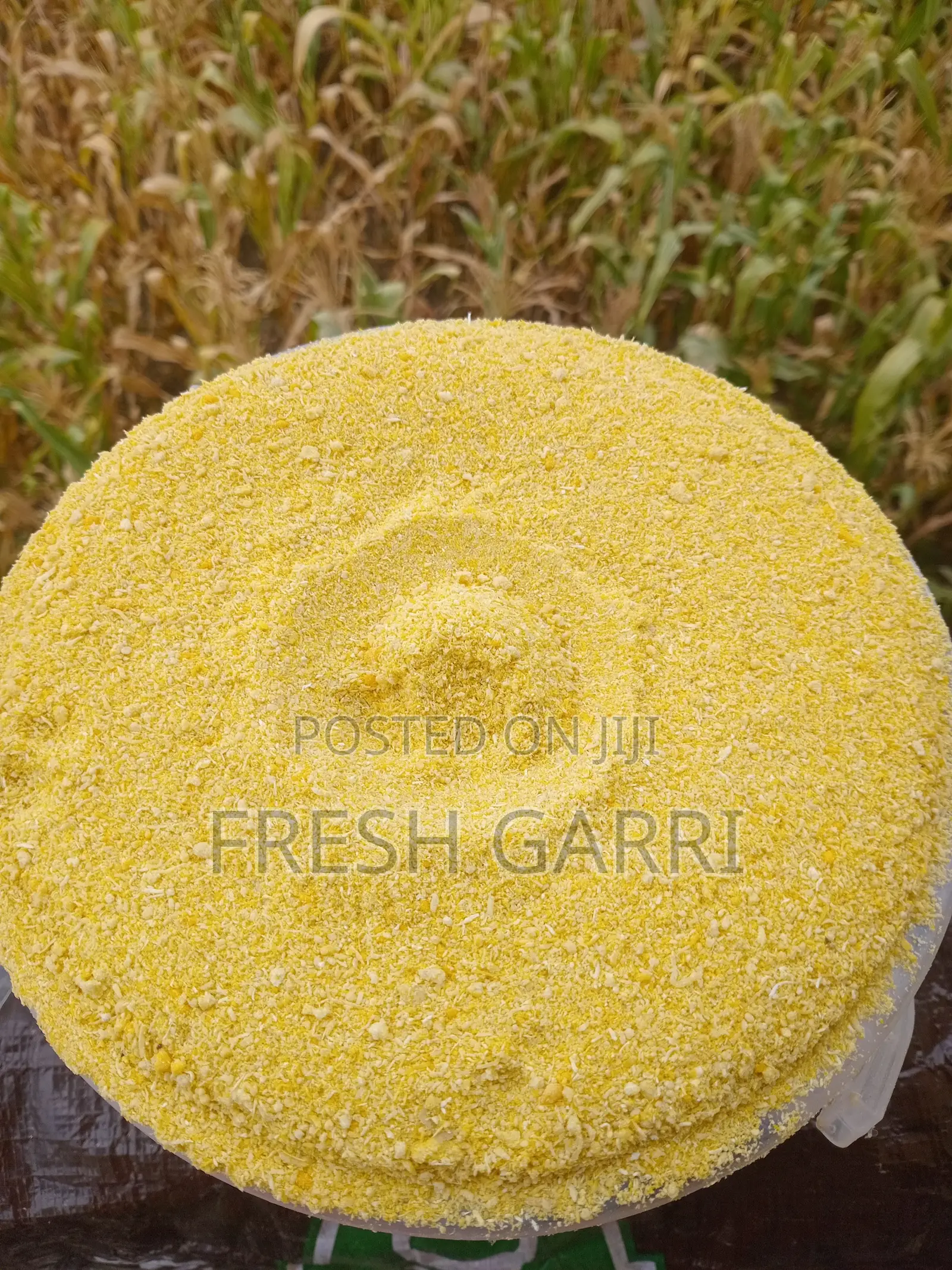 Yellow Garri