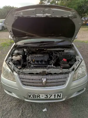 Toyota Premio 2005 Gray