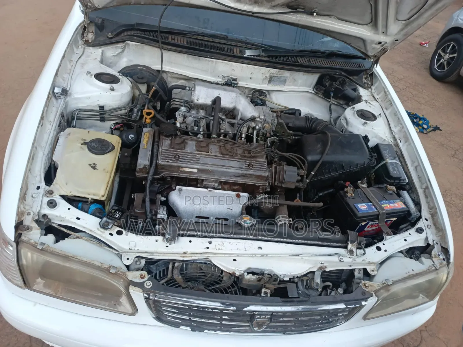 Toyota Corolla II 1999 White