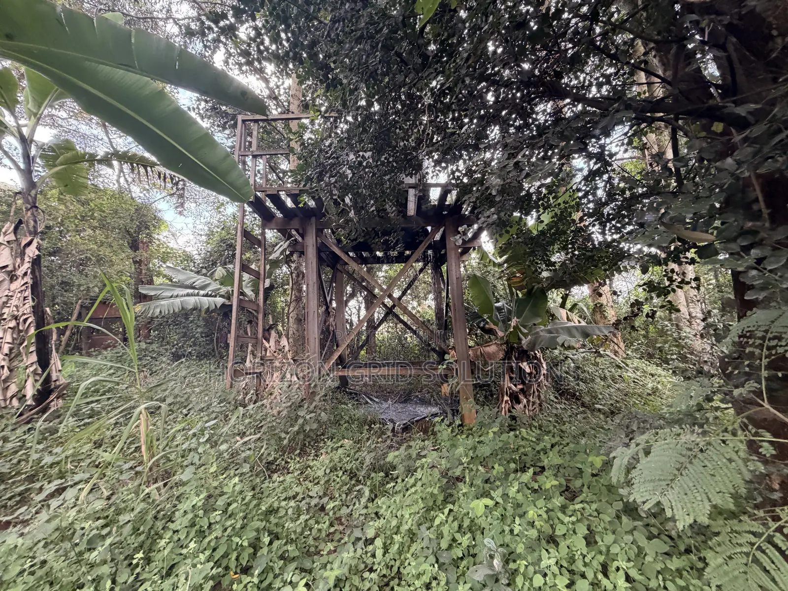 4.8 Acres St. Elizabeth
