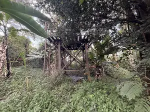 4.8 Acres St. Elizabeth