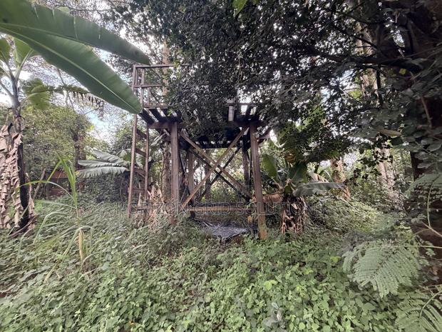 4.8 Acres St. Elizabeth