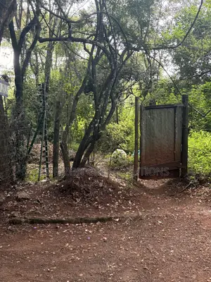 4.8 Acres St. Elizabeth