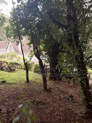 4.8 Acres St. Elizabeth