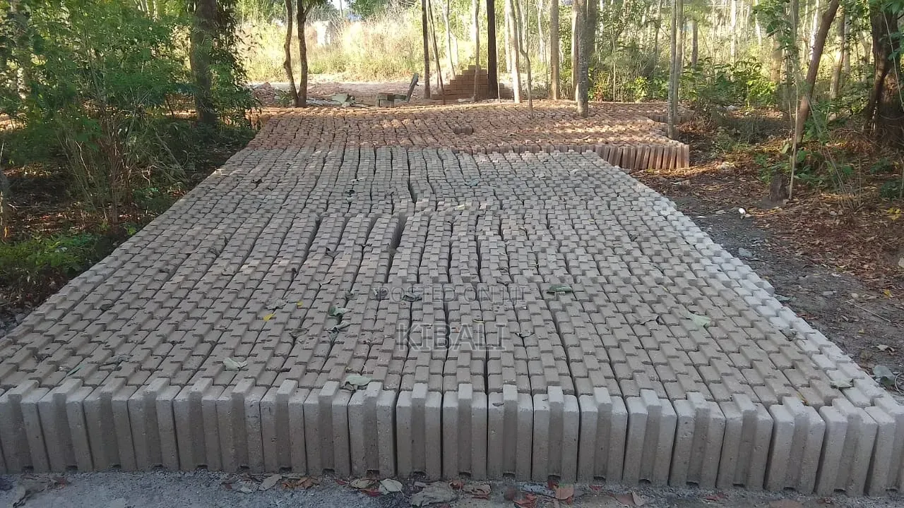 Interlocking Bricks