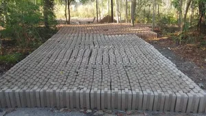 Interlocking Bricks