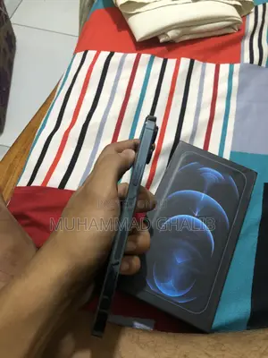 Apple iPhone 12 Pro Max 256 GB Blue