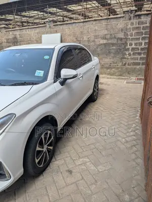 Toyota Axio 2019 White
