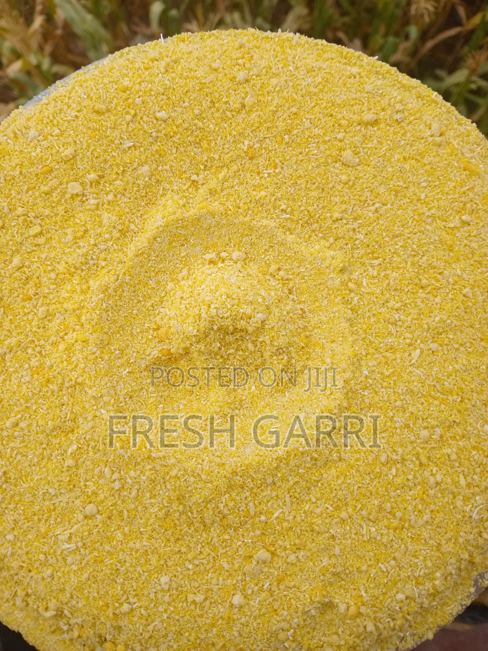 Yellow Garri