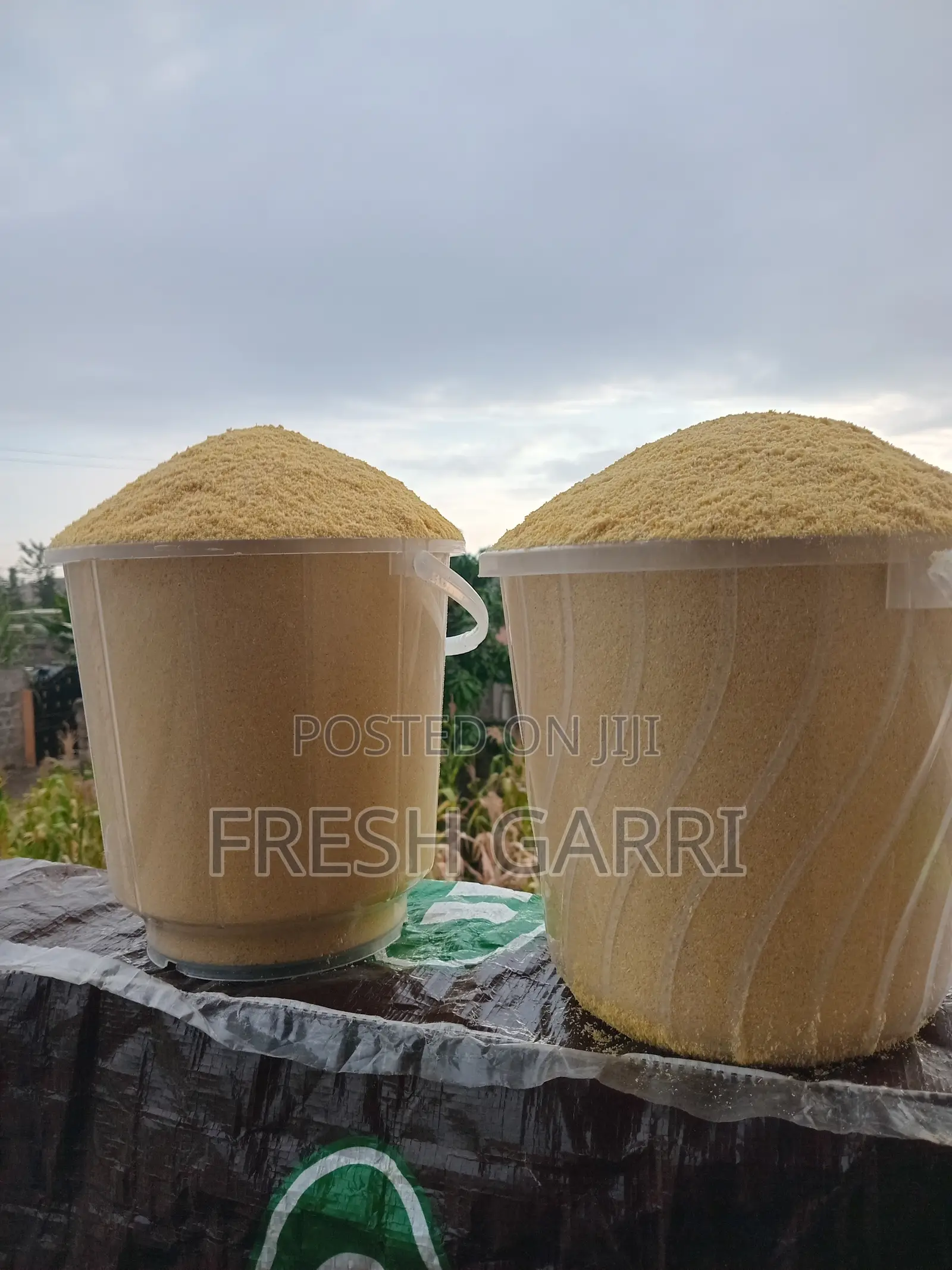 Yellow Garri