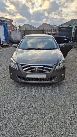 Toyota Premio 2009 Gray