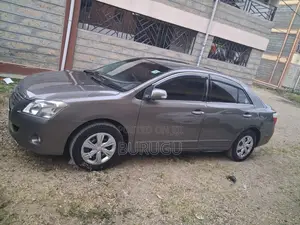 Toyota Premio 2009 Gray