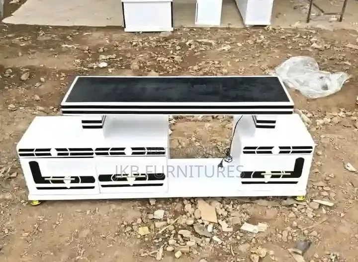 Entertainment Unit