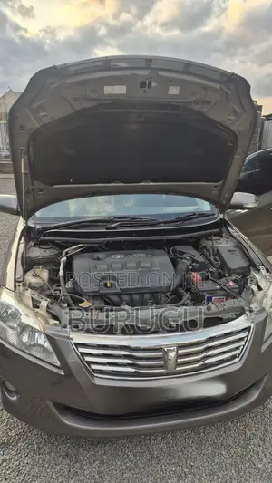 Toyota Premio 2009 Gray