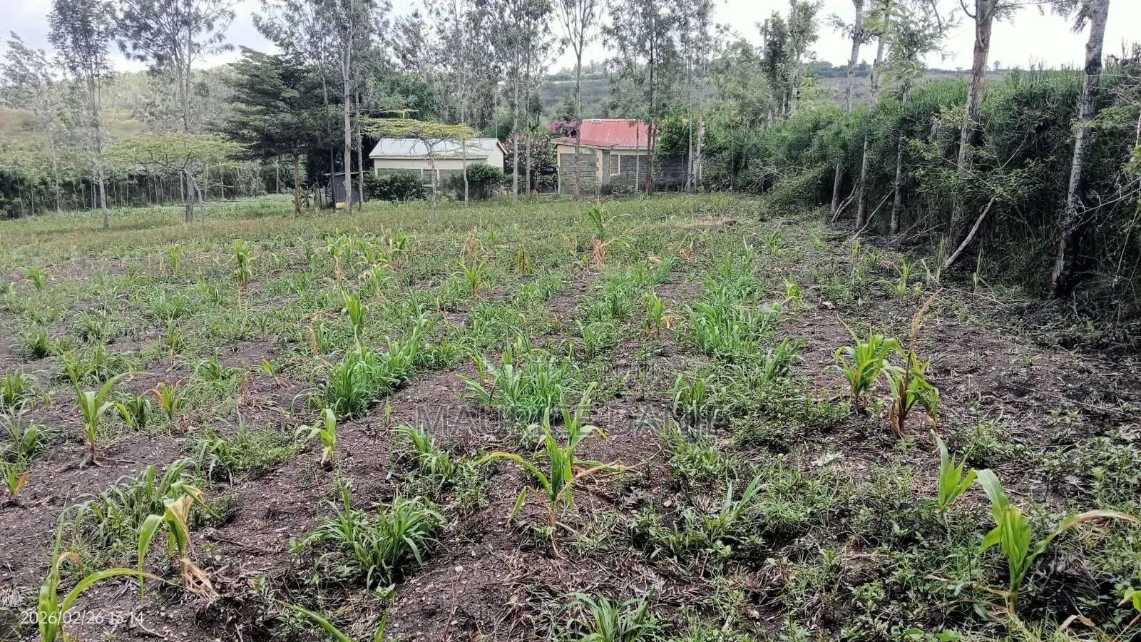 Land for Sale