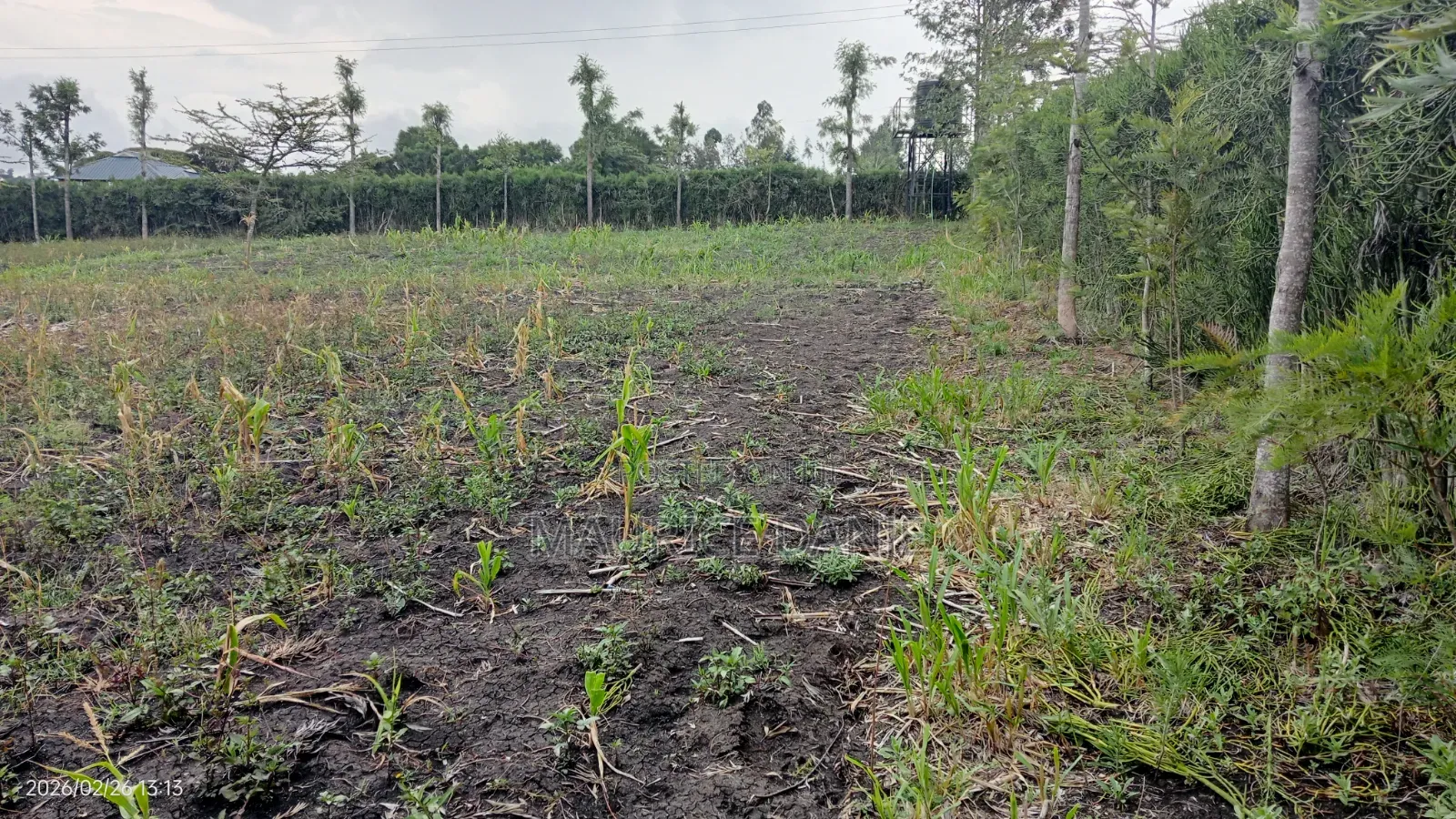 Land for Sale