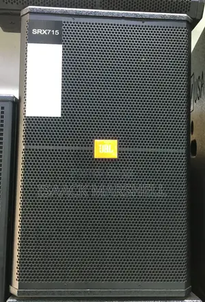 15 Inch Midrange Speaker